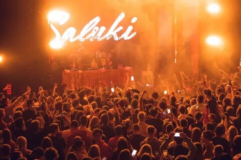 Saluki концерт