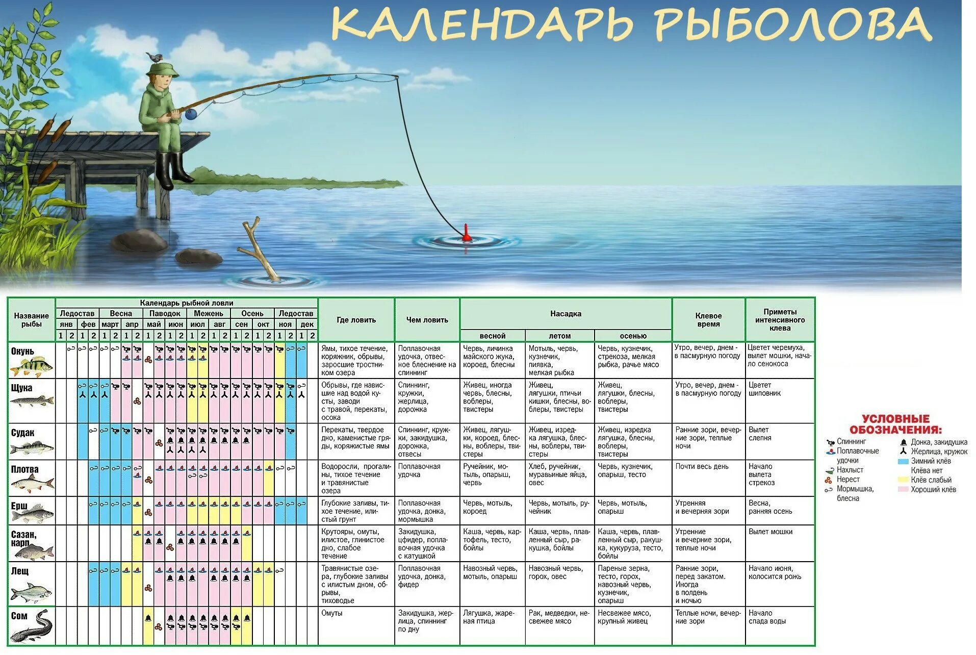 График клева