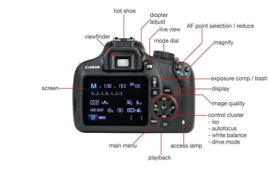 Кнопки на фотоаппарате canon. Кнопка фотоаппарата. Кнопки на фотоаппарате canon. Режимы фотоаппарата canon eos 6d. Кнопки на камере canon 6dm2.