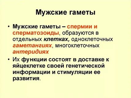 Растения образующие гаметы называются