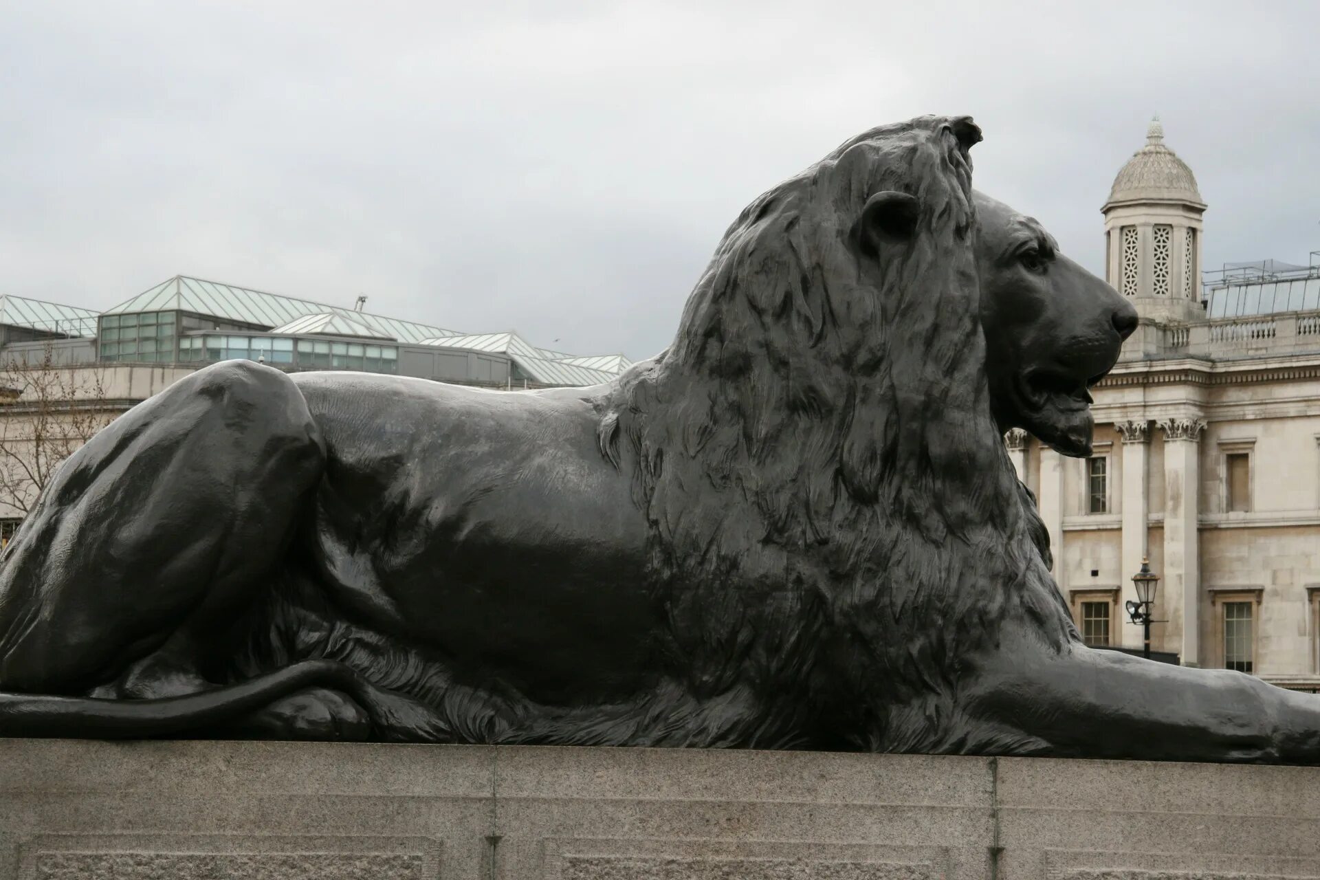Статуя львов. Трафальгарская площадь львы. Статуя Льва в Лондоне. Скульптура Лев Бермондси в Лондоне. Львы на Трафальгарской площади в Лондоне.