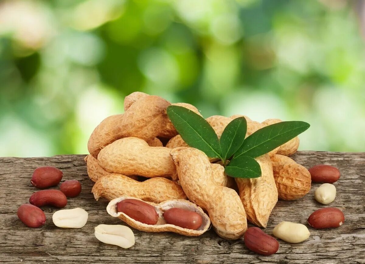 Какие орехи есть при диабете. Земляной орех арахис. Арракис. Ядро арахиса. Орехи при диабете.
