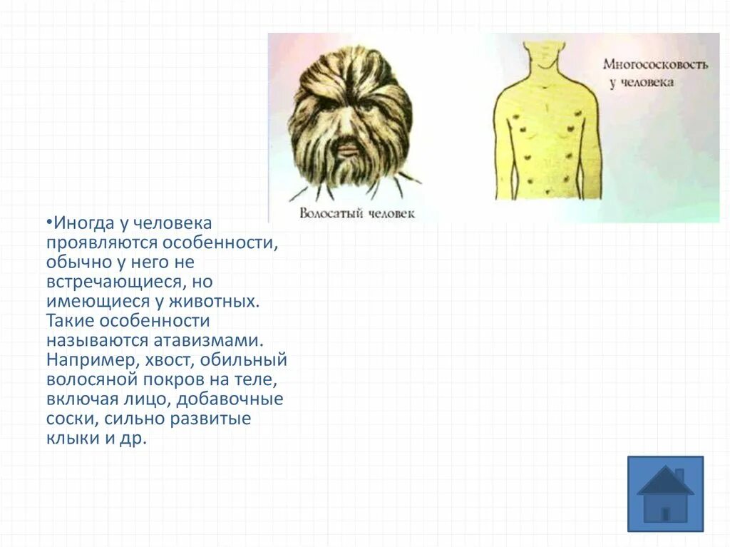 Атавизмы определение. Волосяной Покров на теле человека атавизм. У человека иногда проявляются атавизмы например. Много сосковость у человека.