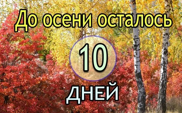 До осени осталось. Сколько дней осталось до осени. До осени осталось 5 дней. Картинки до осени осталось 9 дней.