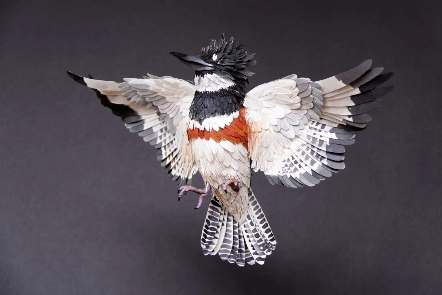 Как сделать большую птицу. Объемные птицы из бумаги. Объемная птица из бумаги мастер класс. Объемные птички. Поделка птичка из бумаги.