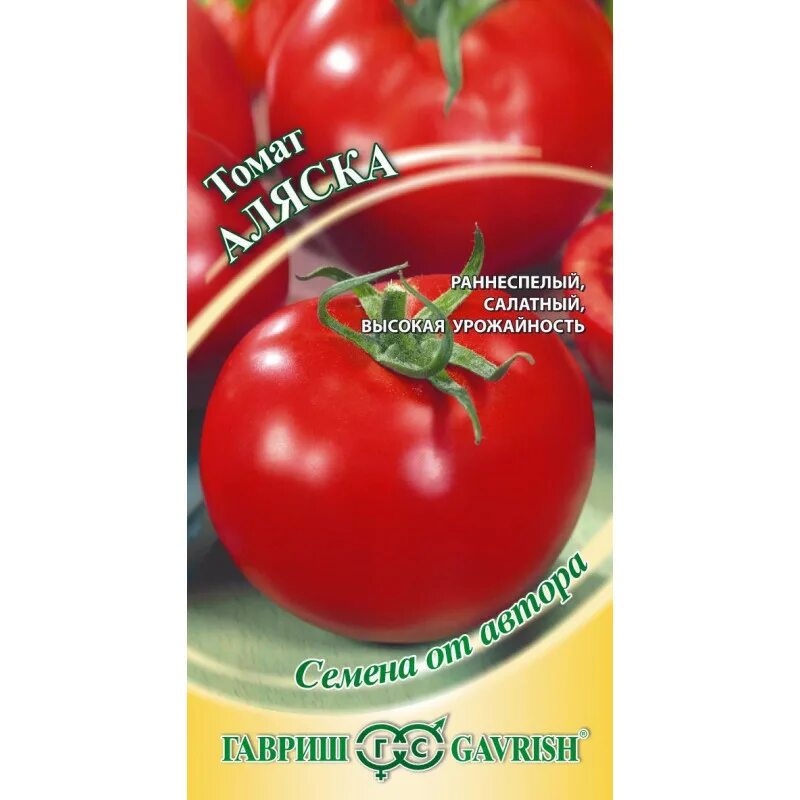 томат аляска, урожай на окне. томат аляска гавриш. сорт помидор аляска. томат аляска характеристика и отзывы. томат аляска гавриш.