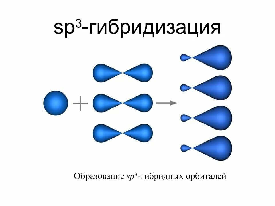 Гибридизация образования