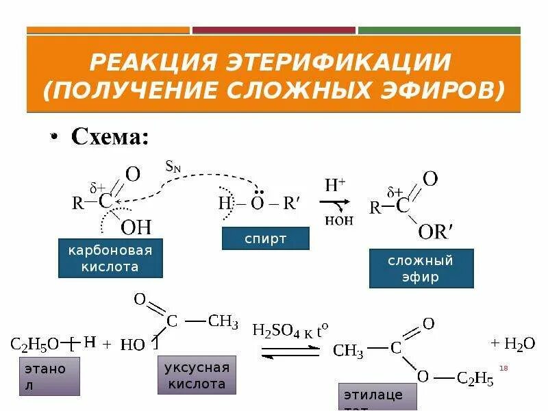 Реакция этерификации образование сложных эфиров. Этерификация фенилаланина. Реакция этерификации карбоновых кислот. Получение сложных эфиров реакцией этерификации.