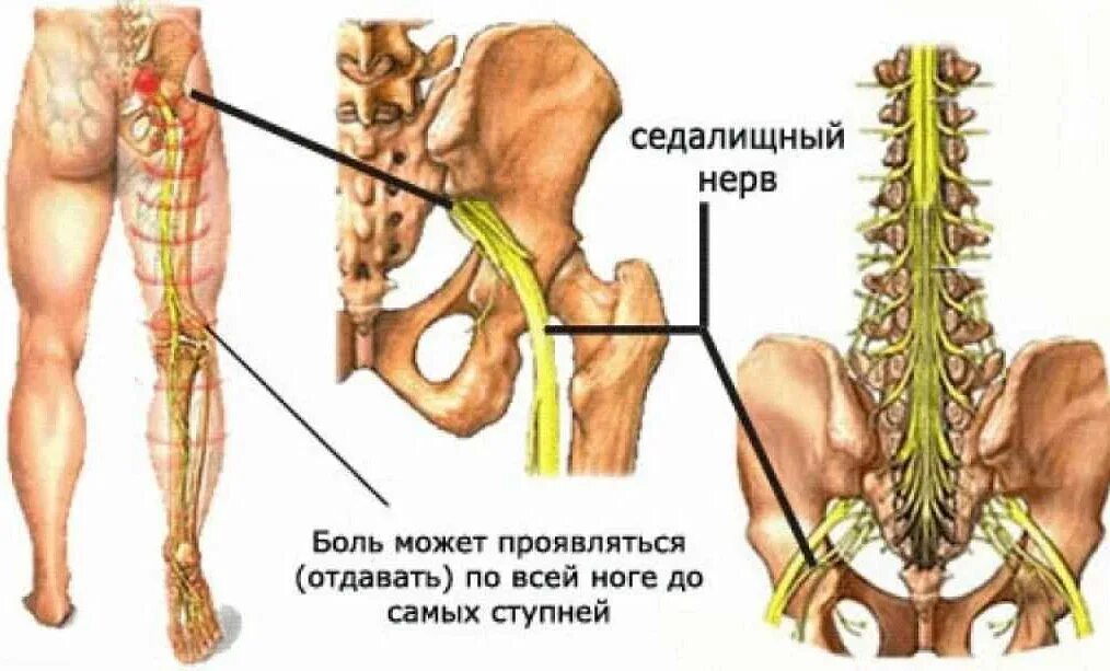 Отнимается копчик