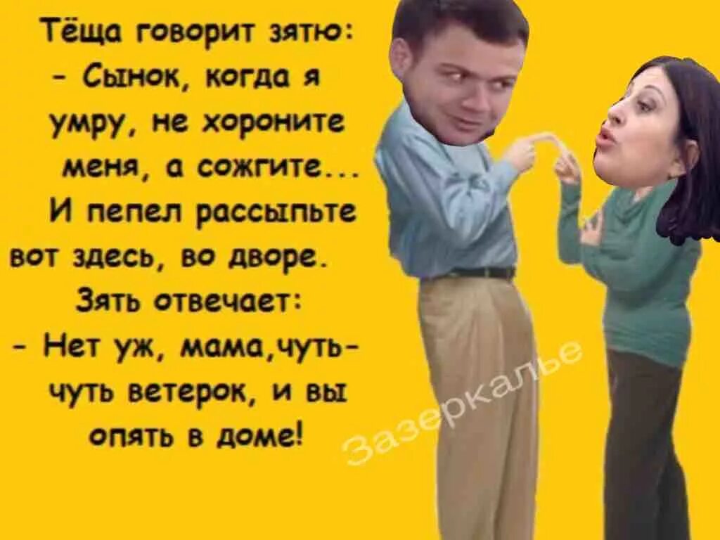 Даю зятю отзывы