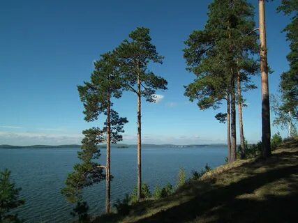Среднеуральск область