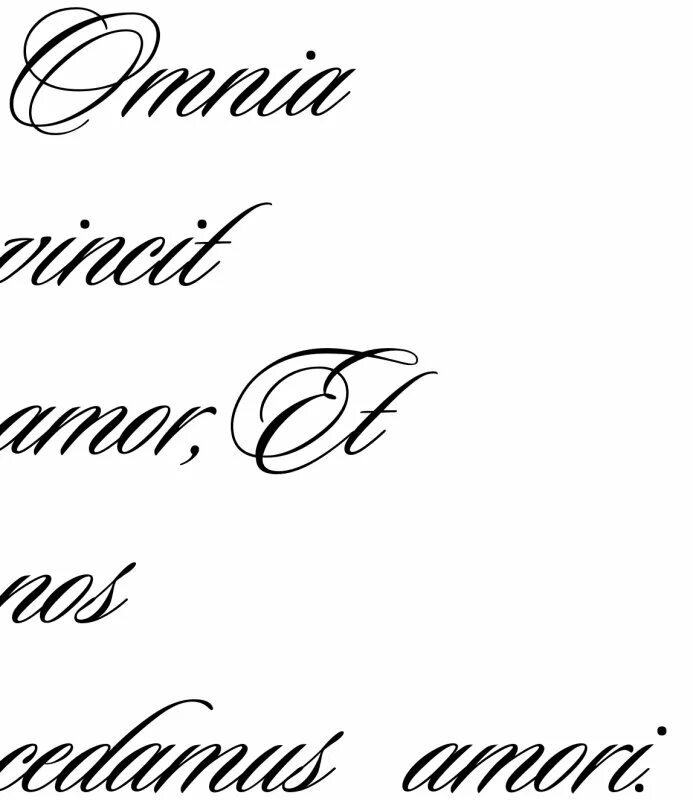 Amor omnia vincit тату шрифт. татуировки мужские надписи с переводом. Vincit omnia. перевод тату amor amor. надписи на латинском языке для тату с переводом.