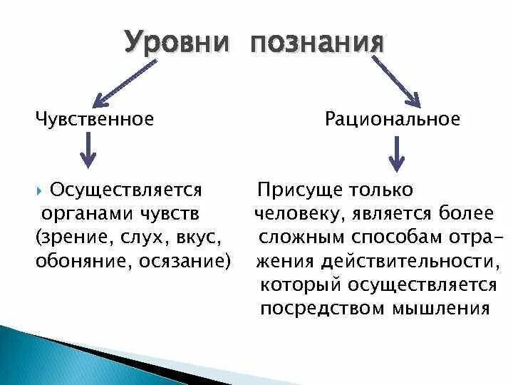 Уровни познания 1 чувственное 2 рациональное