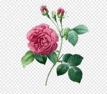 Rose element