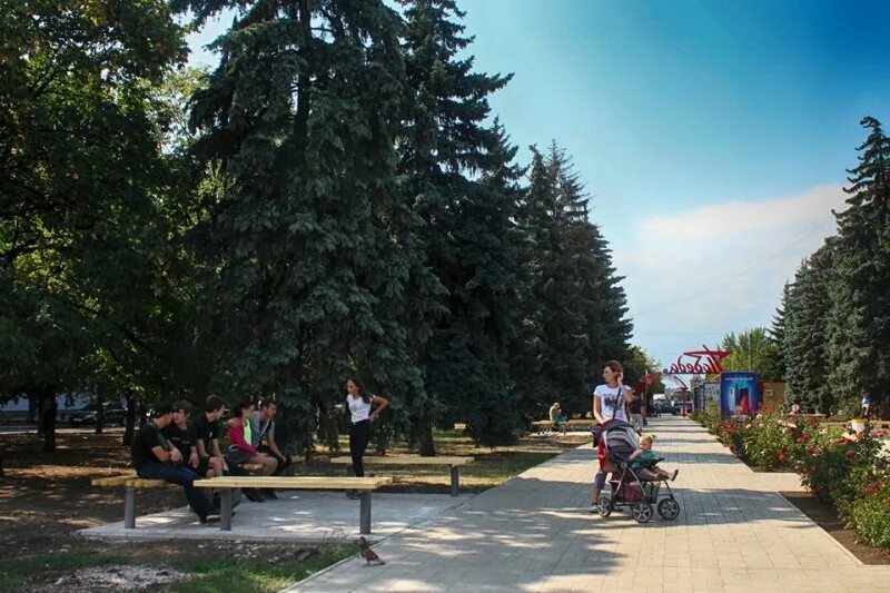 Елка в горловке 2022. Нова горловка. Бульвар димитрова горловка. Нова горловка. Нова горловка.