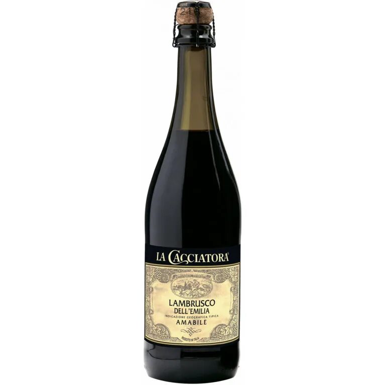 Lambrusco dell emilia цена. Ламбруско шампанское dell Emilia. Вино Lambrusco Emilia.