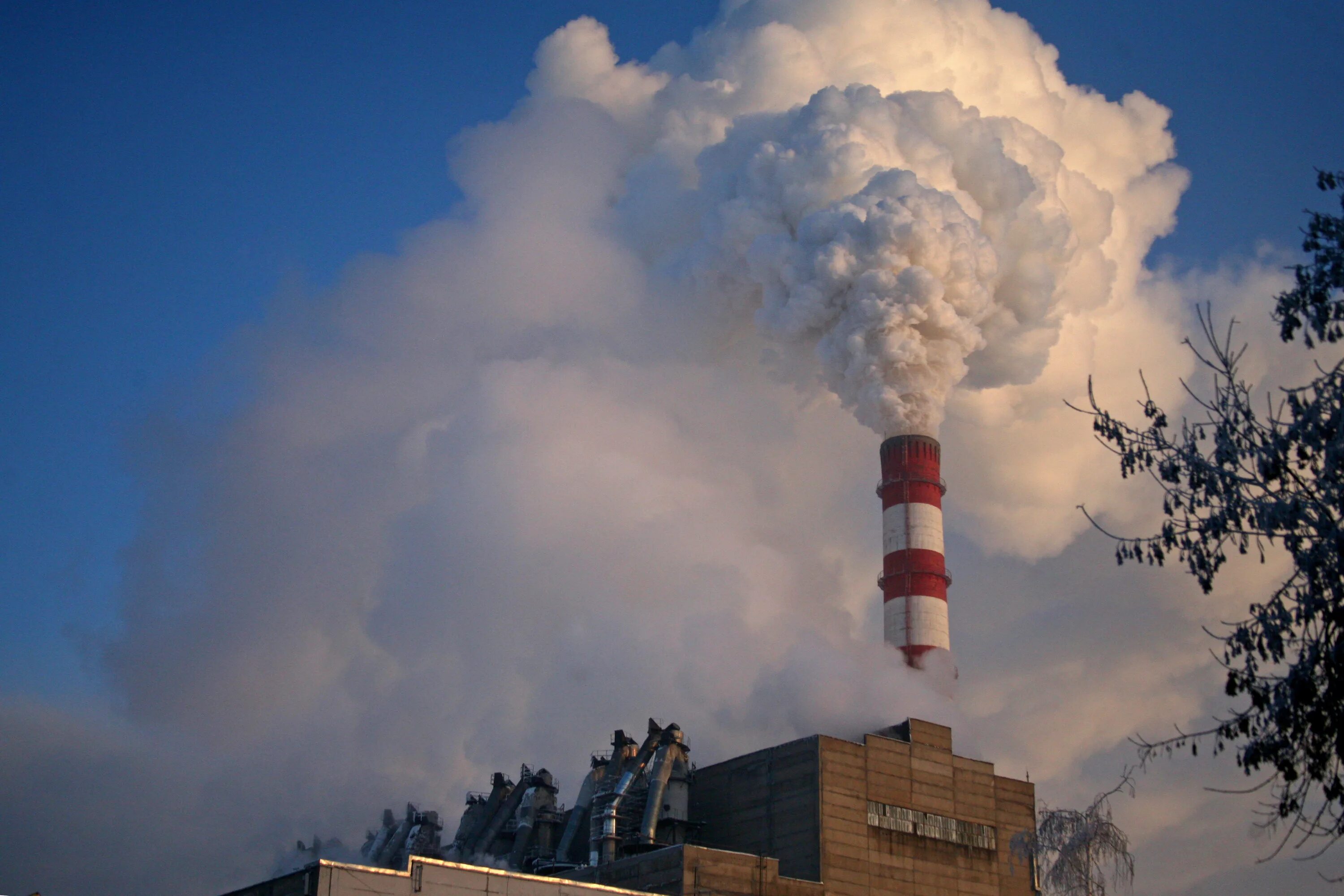 Закрытые тэц. Бийская тэц старые фото. Угольный склад тэц 2 красноярск. Закрытые тэц. Южная тэц 22.
