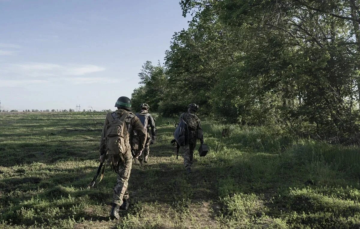 Белгородские диверсанты. Контртеррористическая операция в Белгородской области. Диверсия в Белгородской области. Диверсанты в белгородской области сегодня