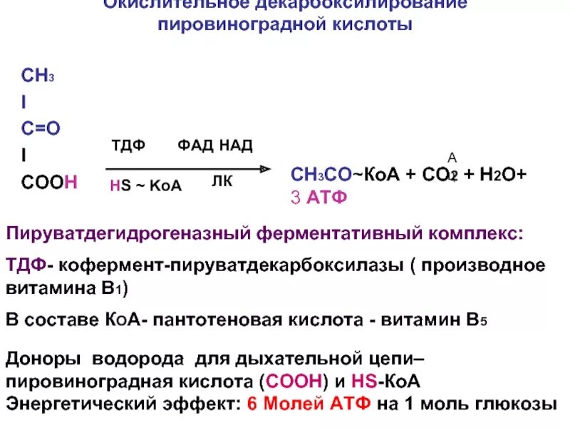 Окислительное декарбоксилирование ПВК. Декарбоксилирование пировиноградной кислоты реакция. Декарбоксилирование пировиноградной кислоты. Окислительное декарбоксилирование ПВК реакции.