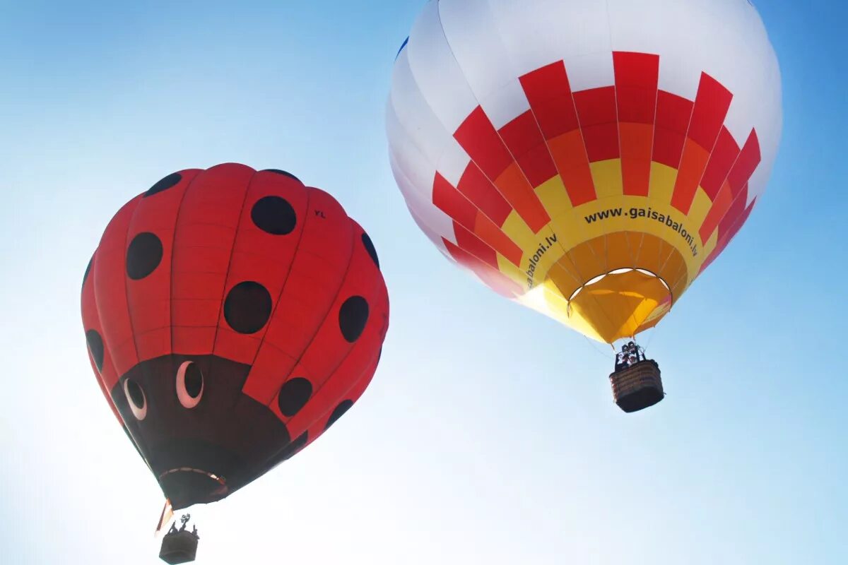 На воздушном шаре новосибирск. Воздушный шар. Пассажирский воздушный шар. Полет на воздушном шаре для двоих. Воздушный шар путешествие.