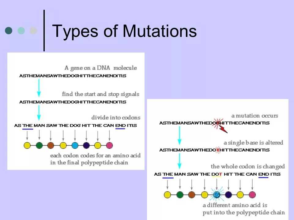 Global mutation. Types of Gene Mutations.. Types of DNA Mutations. Genomic Mutations. Classification of Mutations картинки.