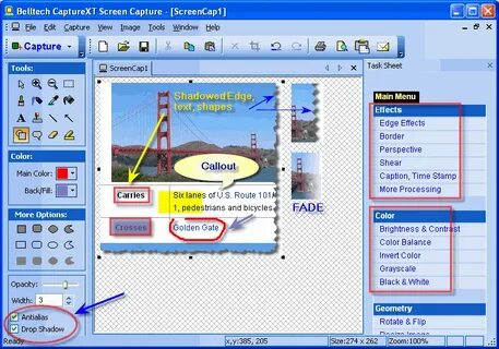 Screen capture бесплатный