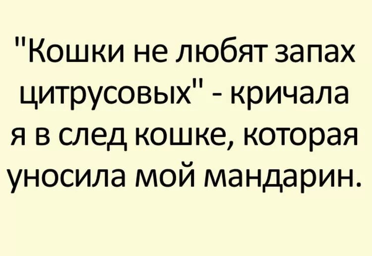 Большие истории из жизни. Смешные рассказы из жизни. Весёлые истории из жизни. Короткие смешные рассказы. Интересные истории из жизни.