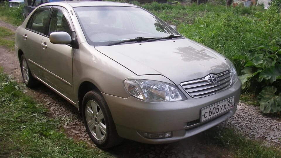 Тойота Королла 2003г 1.6. Toyota Corolla 2003 2.4. Тойота Королла 2003г. Toyota Corolla 2003.