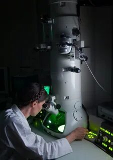 Transmission microscopy