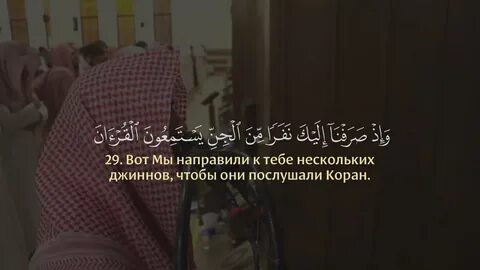 Сура 46 аят