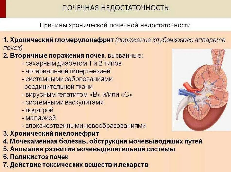 Почки головокружение