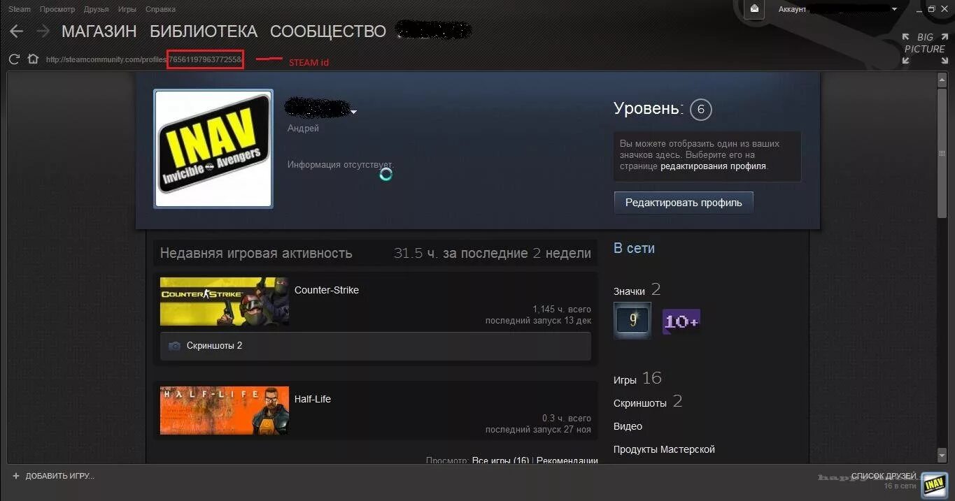 Логин стим. Steam логин аккаунта. Как узнать логин в Тимсе. Как узнать логин стим.