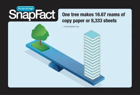 Much paper