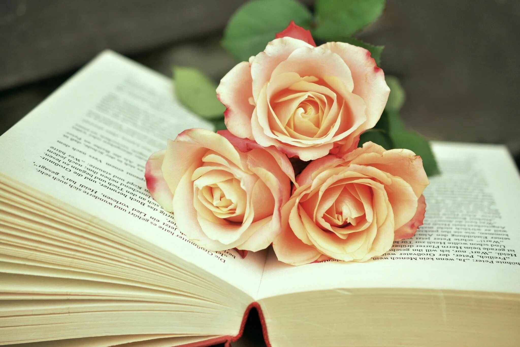 Рождение библиотеки. Книга цветы. Красивые книги. Книга с цветами. Роза на книге.