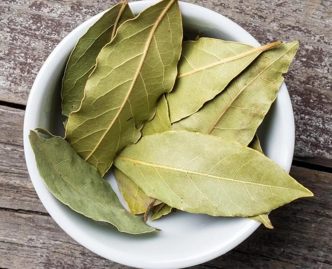 Листья лавра. Отвар лаврушки. Листья лавра благородного. Лавровый лист на ночь. Лавровый лист.
