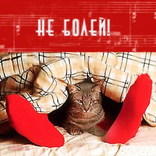Я был уверен что скоро выздоровею