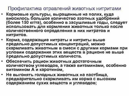 Отравление животных химическими веществами