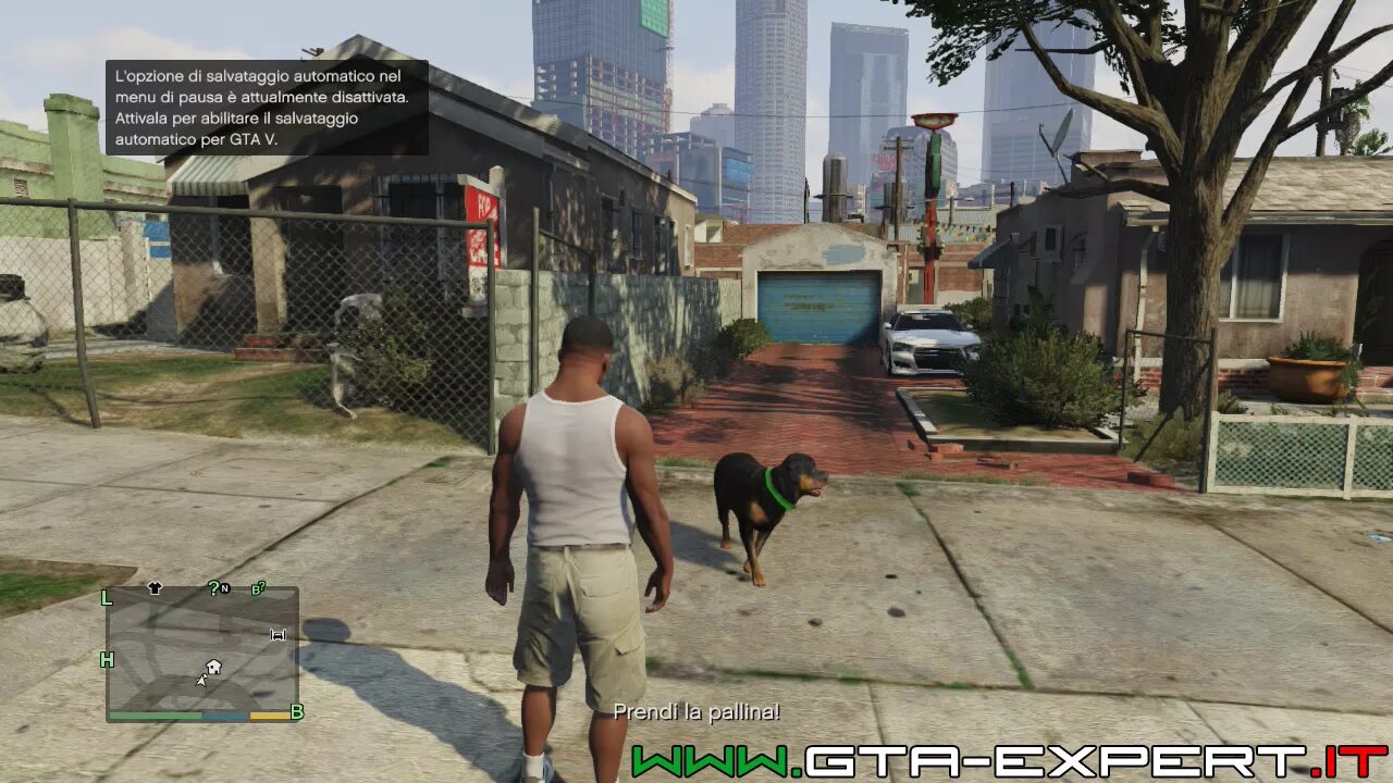 Код на быстрый бег в гта 5. Чоп гта 5. Пассивный режим gta online. Чоп гта 4. Альта стрит в гта 5.