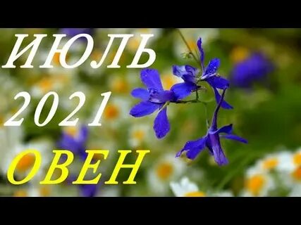 Июль 2021 г