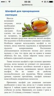 Шалфей при грудном вскармливании