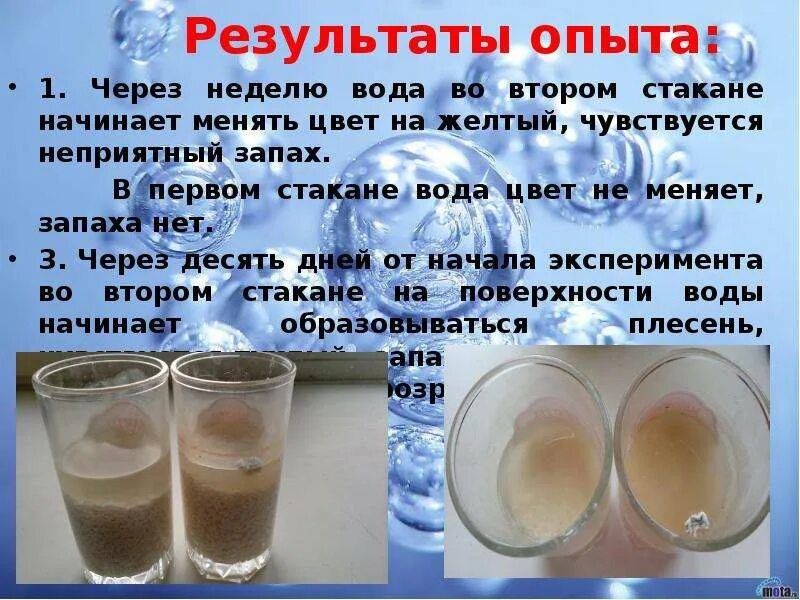 В воде и не меняют. Опыт вода меняет цвет. два стакана с водой эксперимент. результат опыта. неделя на воде результаты.