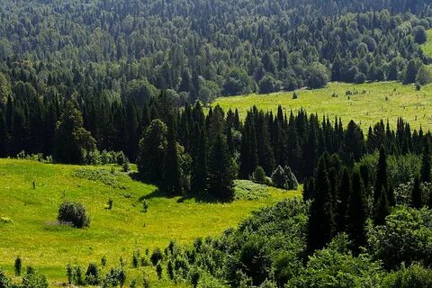 Широколиственные ландшафты