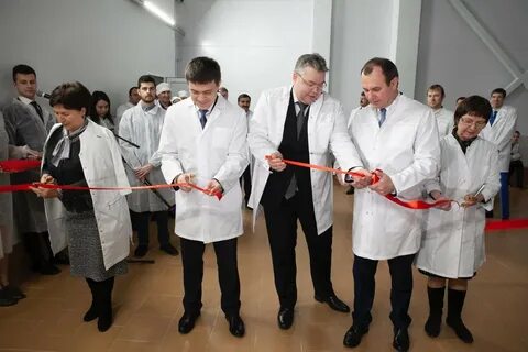 Комбинаты ставрополя