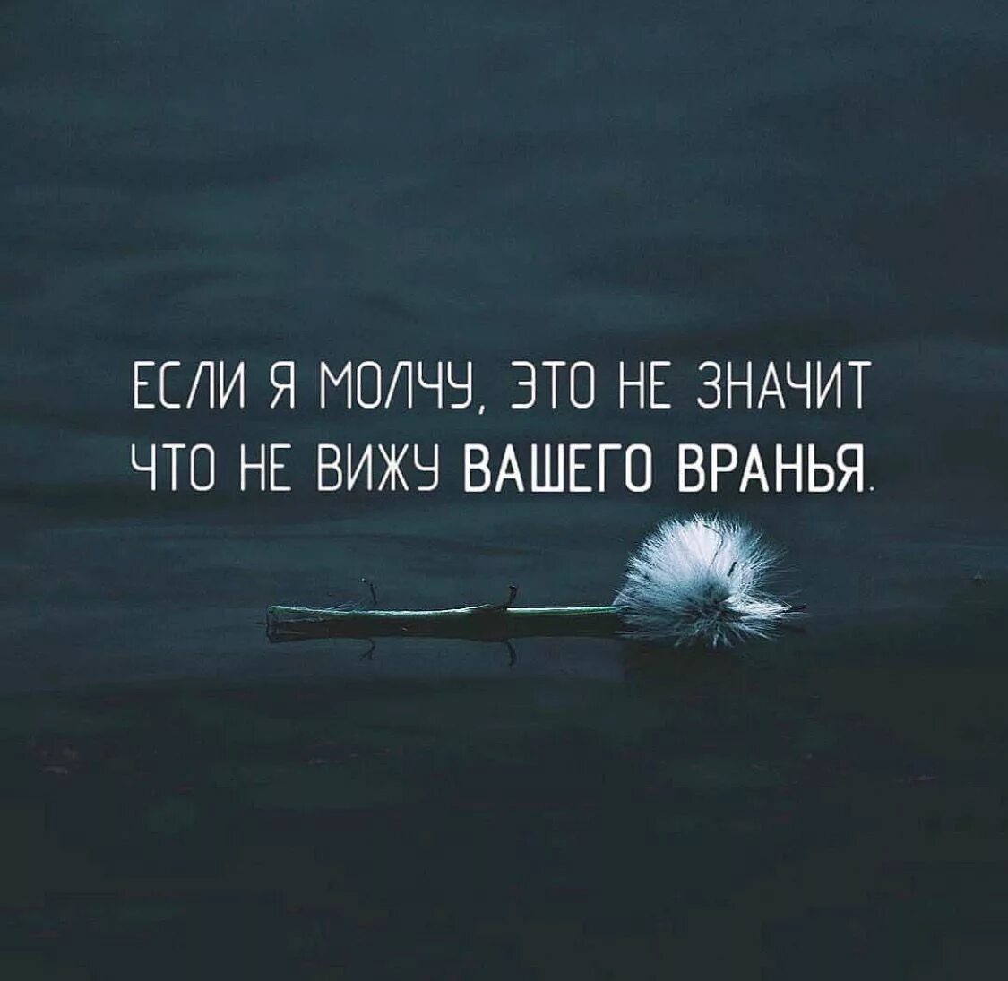 Ошибаться можно врать нельзя мем
