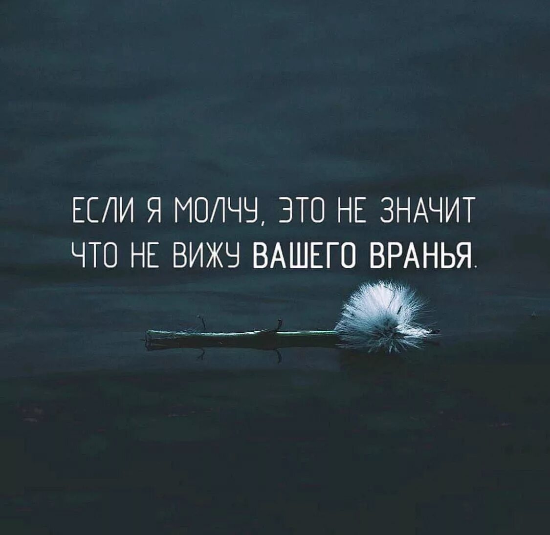 Если я молчу это не значит. Афоризмы в картинках. Люди врут цитаты. Если я молчу цитаты. 7 вранье всегда видно