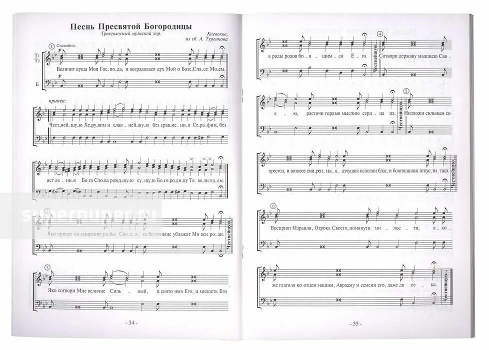 Песня моя богиня моя царица
