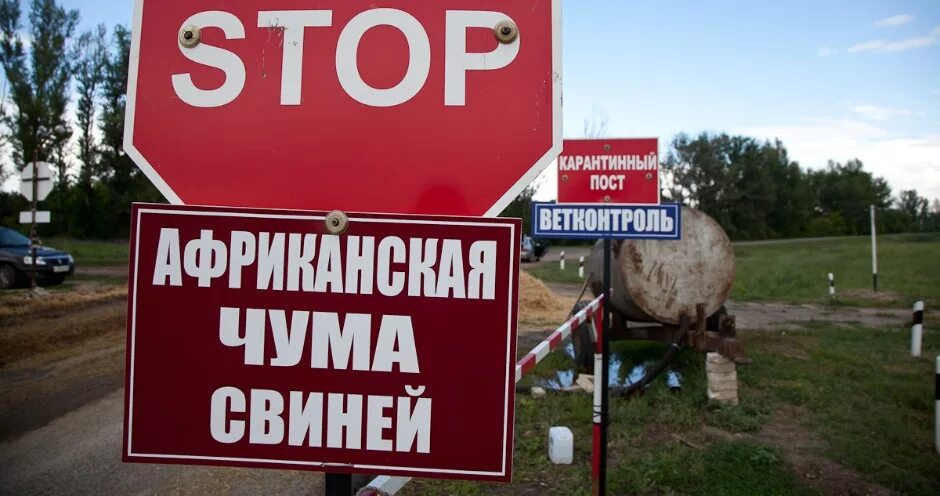 Ачс в краснодарском крае 2025
