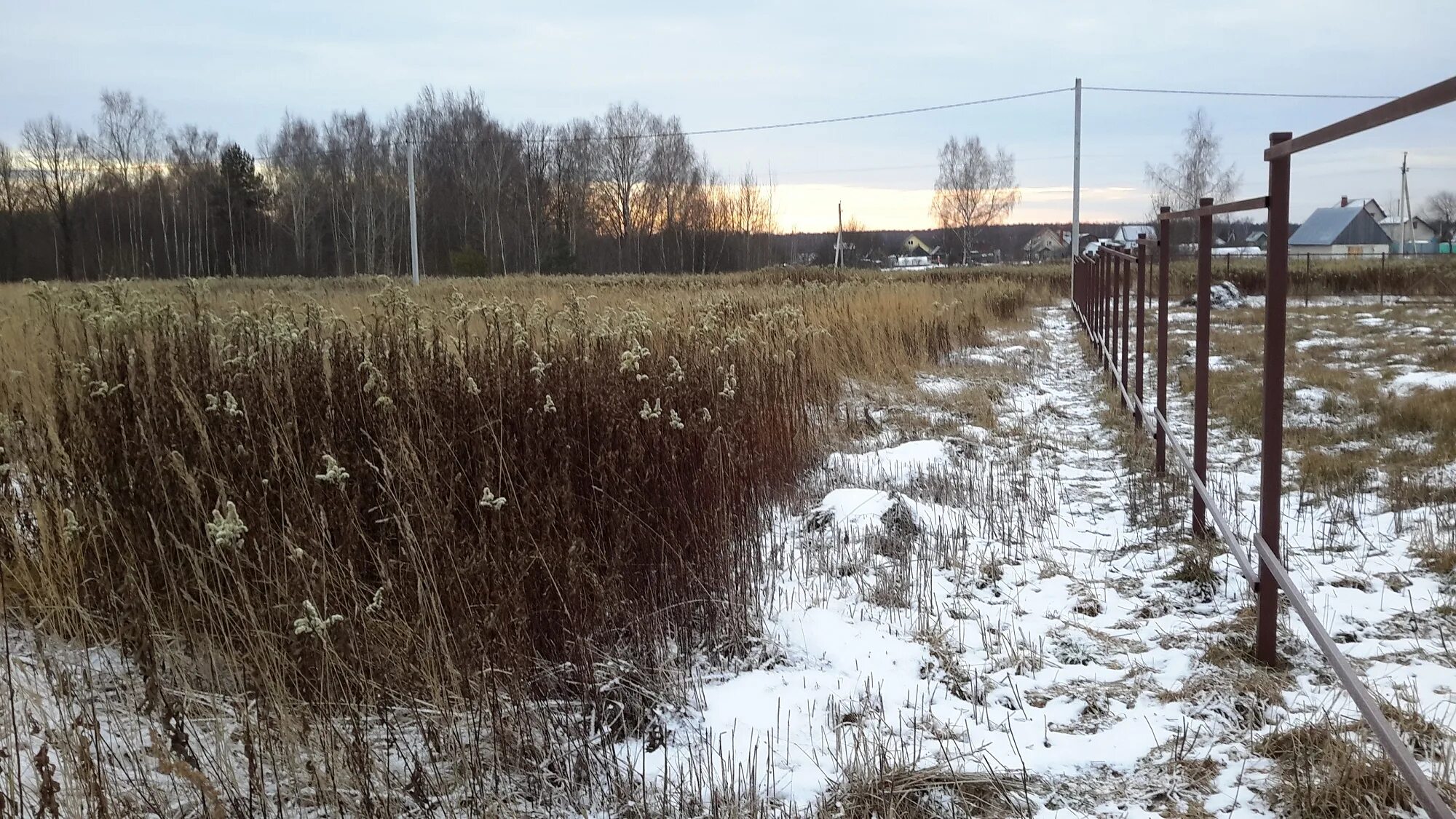 Погода в д леоново. Леоново бужаниново. Погода в д леоново. Егорьевск снт олимпийский. Погода в д леоново.