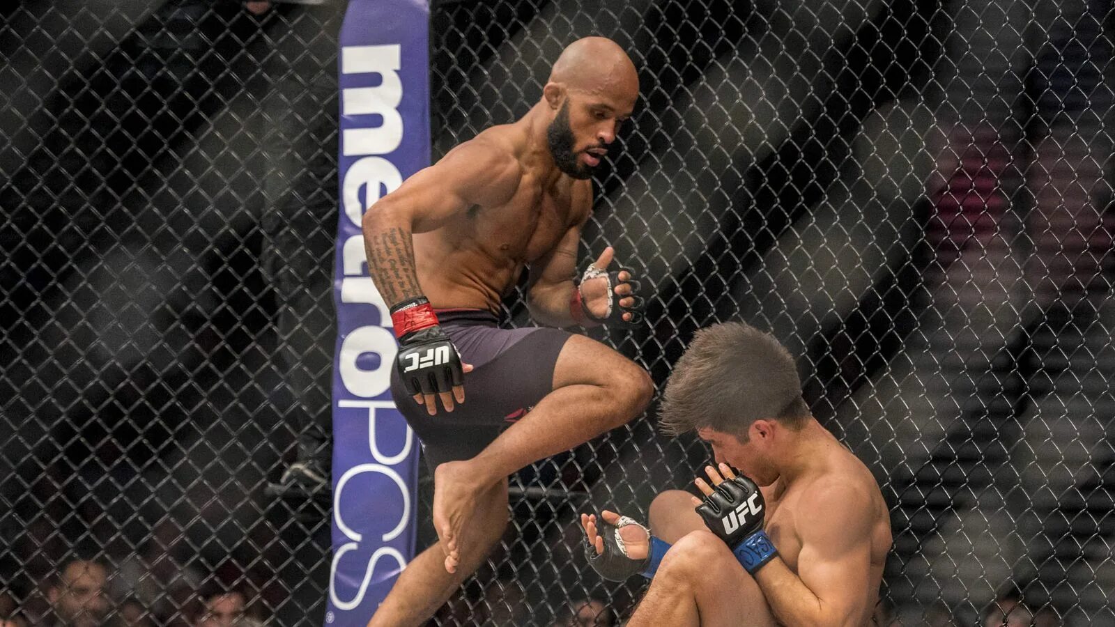 Ufc без правил. Юфс мышонок джонсон. demetrious johnson ufc. деметриус джонсон генри сехудо. деметриус джонсон против генри сехудо.