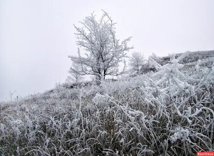 Снег з